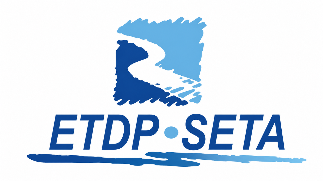 ETDP SETA: Complete Guide to South Africa's Education, Training and Development Practices SETA 