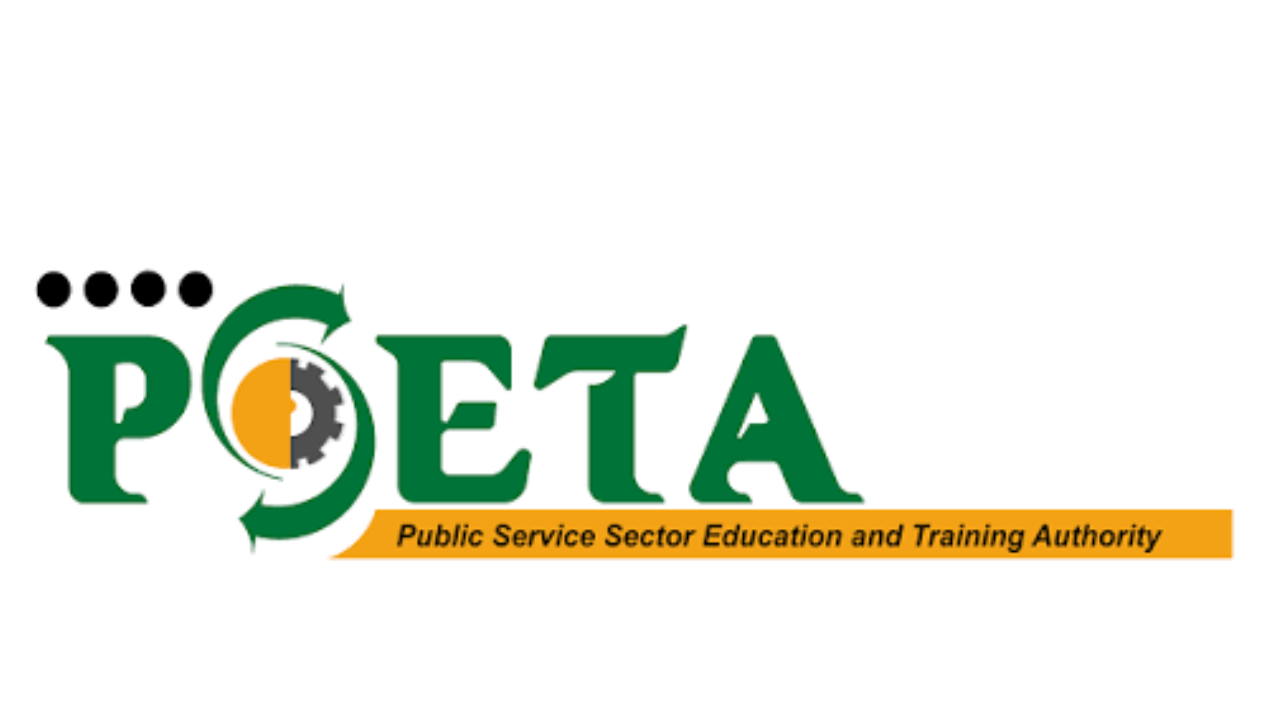 PSETA: Complete Guide to South Africa's Public Service Sector Education and Training Authority