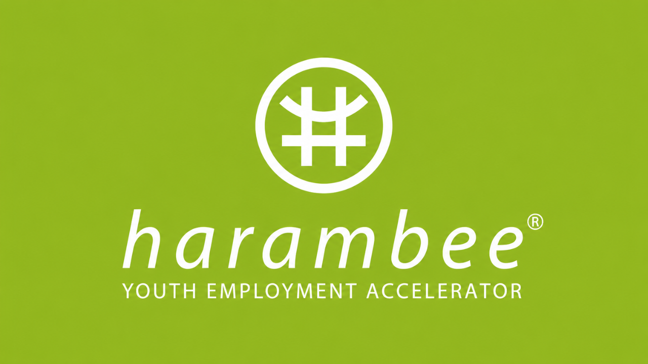 What Is Harambee Youth Employment Accelerator? A Complete Guide for South African Youth